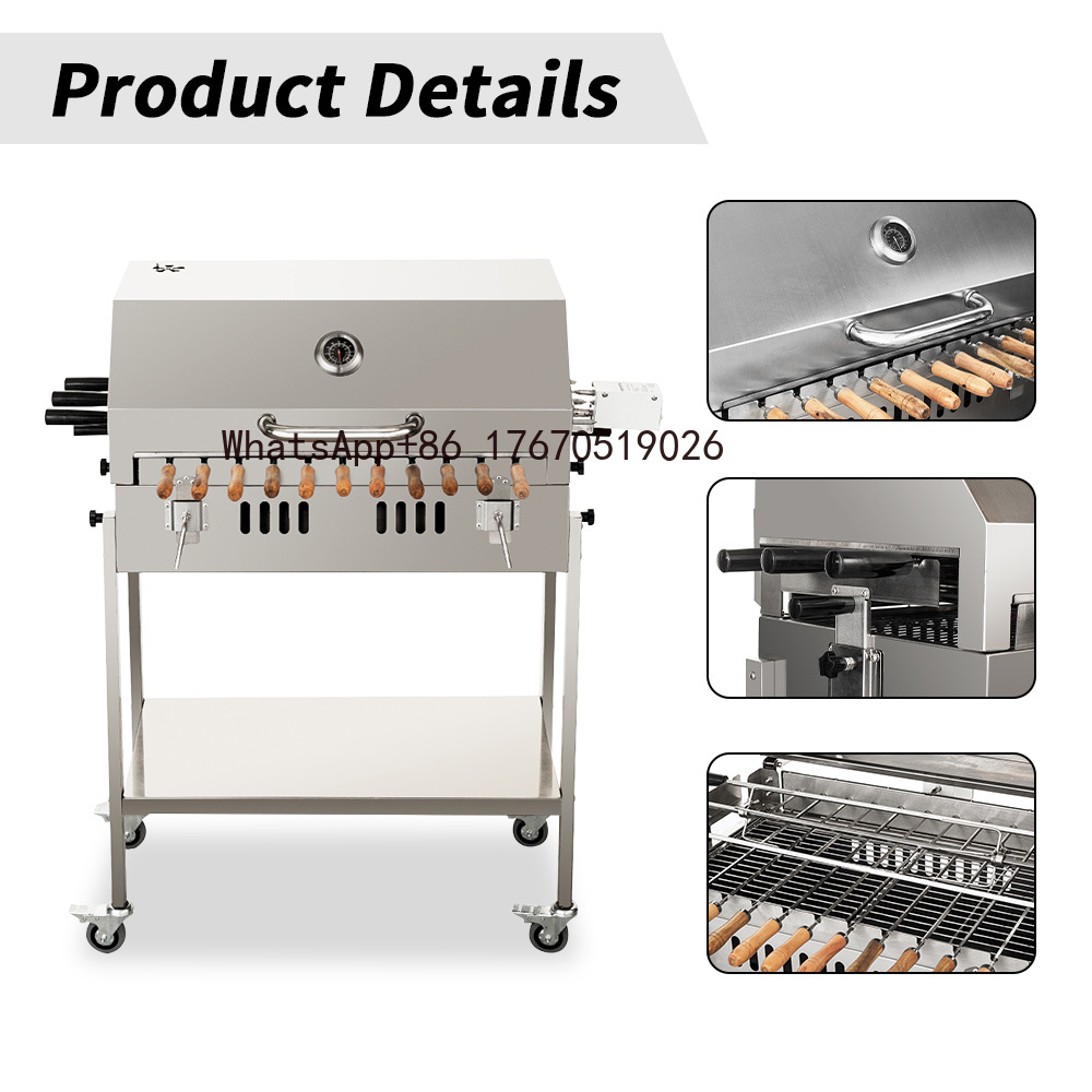 Griglia BBQ Moderna per Estern - Outdoor Indoor Camping recensione e prezzo