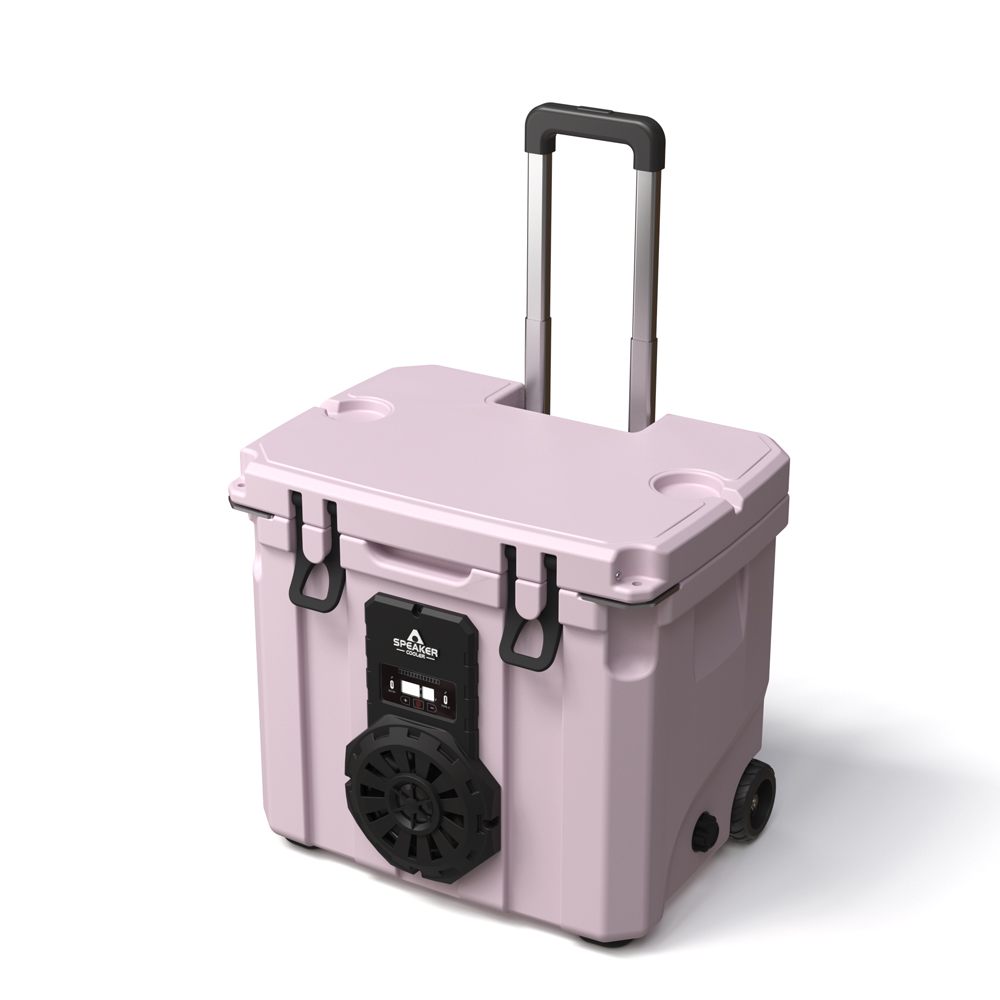 Borsa Frigo Portatile da 35L c - Outdoor In Camping recensione e prezzo